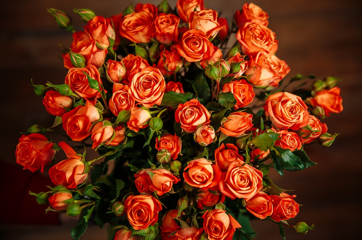Кустовая роза Baby (оранжевая)